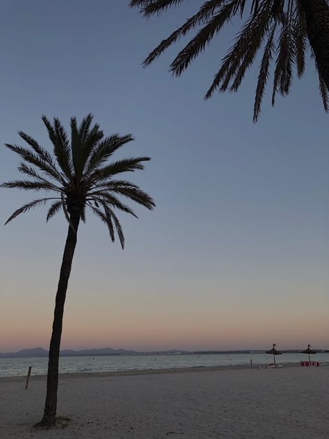 Mallorca Spain, Palm Trees, Healthy Lifestyle, Spain, Lifestyle, Quick Saves