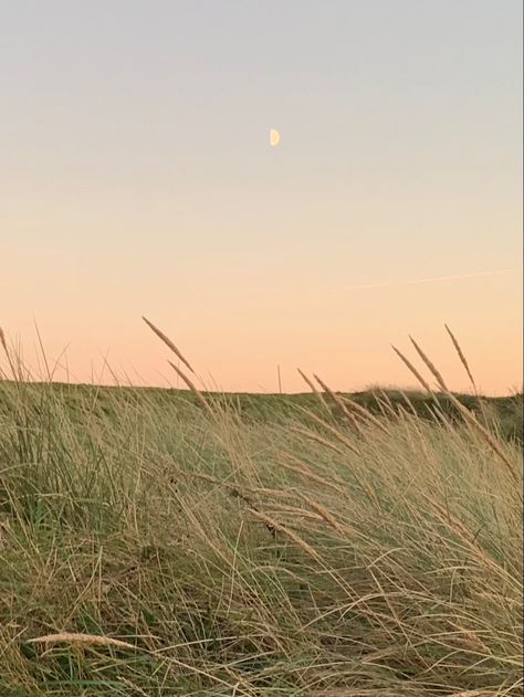 Peace Astethic, Winter Sunset, Green Landscape, Nature Aesthetic, Wanderlust Travel, Green Aesthetic, Aesthetic Photo, Happy Places, The Great Outdoors