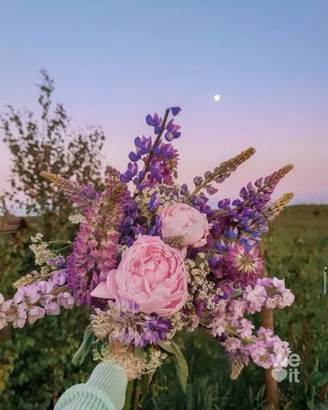 Nothing But Flowers, Flower Therapy, Beautiful Bouquet Of Flowers, Spring Aesthetic, Beautiful Bouquet, Love Flowers, My Flower, Flower Shop, Pretty Flowers