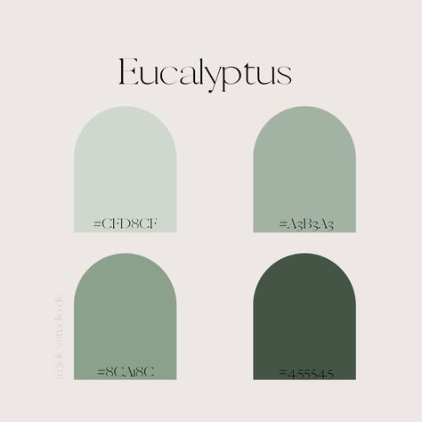 Eucalyptus color palette | Shopify | Canva | Media Design Eucalyptus Palette, Eucalyptus Color Palette, Eucalyptus Color, Brand Palette, Eucalyptus Leaf, Leaf Green, Eucalyptus Leaves, Media Design, Paint Colors