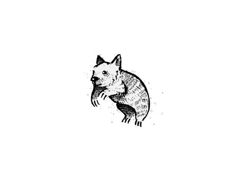 Australian Tattoo Ideas, Wombat Tattoo, Australia Tattoo Ideas, Wombat Tattoo Ideas, The Wombats Wallpaper, Tumblr Drawings Easy, Wombat Illustration, Wombat Illustration Drawings, Wombats Poster