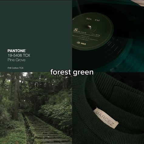 Old money color ✨️🍀 Dark Greencore, Phtalo Green, Spiritual Aesthetic, Aesthetic Collages, Green Academia, Art Textiles, Dark Green Aesthetic, Pretty Colors, Green Forest