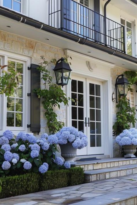 Hydrangea Potted Front Doors, Potted Hydrangea By Front Door, Classy Front Door, Hydrangea Pots, Potted Hydrangeas, Front Door Greenery, Cottage Front Door, Old Money Interior Design, Old Money Interior