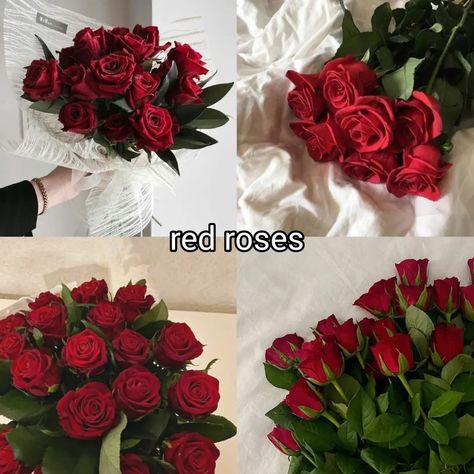 which color would you choose? ♡ follow @jeonrencia for more! 🦢 ✧₊˚. Pretty Flowers Pictures, Flower Board, Rose Colors, Flower Chart, Luxury Flower Bouquets, Flower Gift Ideas, Boquette Flowers, Nothing But Flowers, Flower Therapy