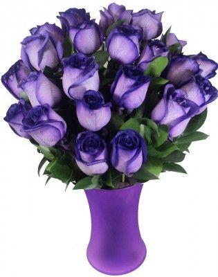 I would so buy these for cousins birthday, but they don't sell purple roses at work Purple Girls, Purple Reign, Purple Love, All Things Purple, Purple Rose, Love Rose, Purple Rain, Purple Roses, Ikebana