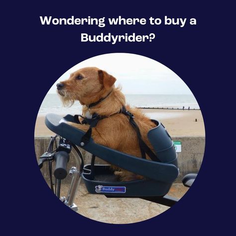 Buddyrider® | Make the World Your Dog Park - Dog Bike Carriers! – Buddyrider Canada Bicycle Dog Carrier, Dog Bike Carrier, Rear Bike Basket, Dog Bike Basket, Dog Bike, Dog Trailer, Biking With Dog, Dog Basket, Dog Seat