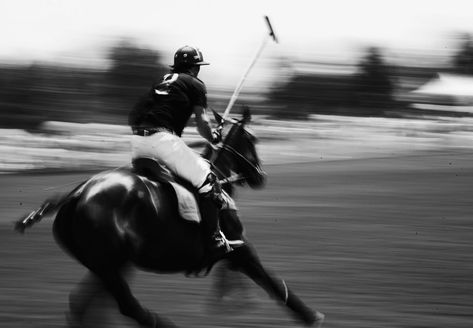 polo Veuve Cliquot, Veuve Clicquot Polo Classic, Ann Street Studio, Jamie Beck, Photography Motion, Polo Horse, Sport Of Kings, Polo Classic, Equestrian Sports