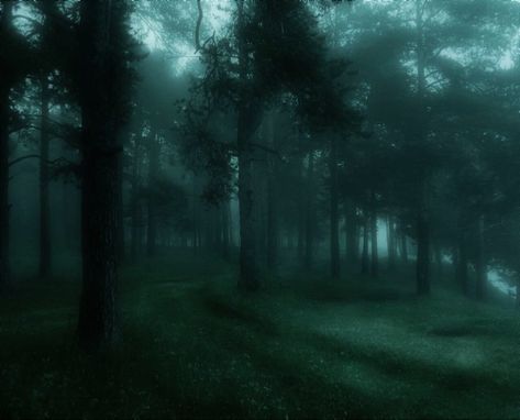 Aesthetic Nature Dark, Mist Aesthetic, Indrid Cold, Fairy Grunge Aesthetic, Dark Forest Aesthetic, Dark Fairycore, Arte Grunge, Dark Nature, Grunge Fairycore