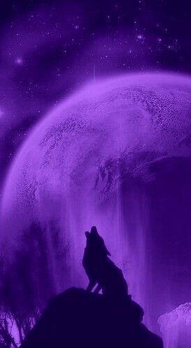 Iphone Wallpaper Travel, Black And Purple Wallpaper, Dragon Silhouette, Dark Purple Wallpaper, Violet Aesthetic, Purple Animals, Purple Vibe, Dark Purple Aesthetic, New Retro Wave