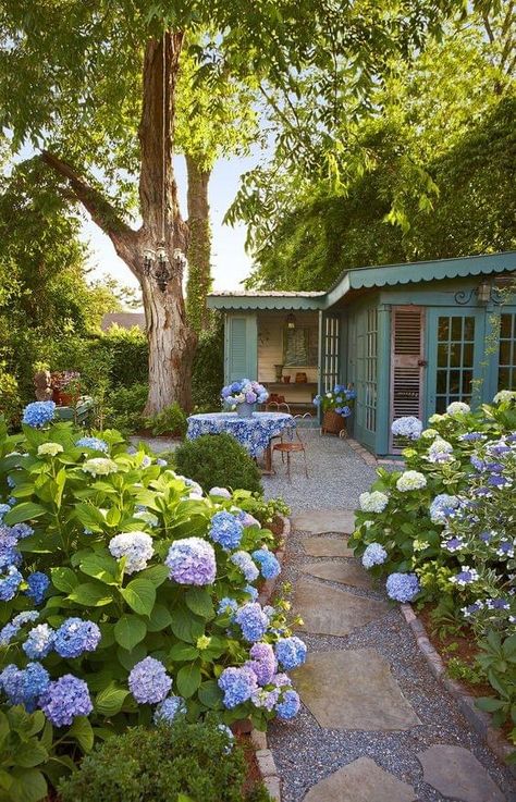 Creative Garden Projects, White Hydrangea Garden, French Hydrangea, Hydrangea Landscaping, Tattoo Plant, Growing Hydrangeas, Cottage Garden Design, Hydrangea Garden, Blue Hydrangeas