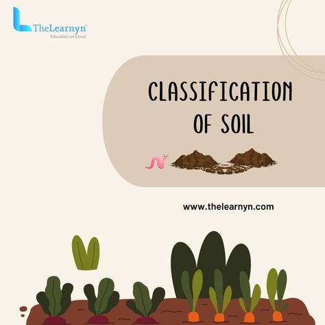 Dive into the fascinating world of soil classification and uncover the secrets beneath your feet! Did you know that soil is not just dirt beneath our feet, but a complex and diverse ecosystem in its own right? Explore the intricate world of soil classification and discover the different types of soils that shape our landscapes. From sandy soils that drain quickly to clayey soils that retain water, each classification tells a unique story of its composition and properties. Whether you'r... Types Of Soil Chart, Soil Classification, Major Soil Types In India Map, Soil And Water Conservation, Sandy Soil, Types Of Soil, Did You Know, The Secret, Soil