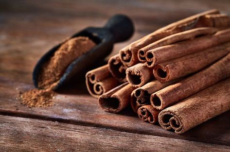 4 Types of Cinnamon Homemade Bug Spray, بذور الشيا, Cinnamon Health Benefits, Cassia Cinnamon, Cinnamon Benefits, Ceylon Cinnamon, Bug Spray, Turmeric Benefits, Cinnamon Powder