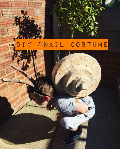 Snail Diy, Shell Costume, Snail Costume, Mini Beasts, Shells Diy, Bunny And Bear, Snail Shell, Go Back To School, Costume Patterns