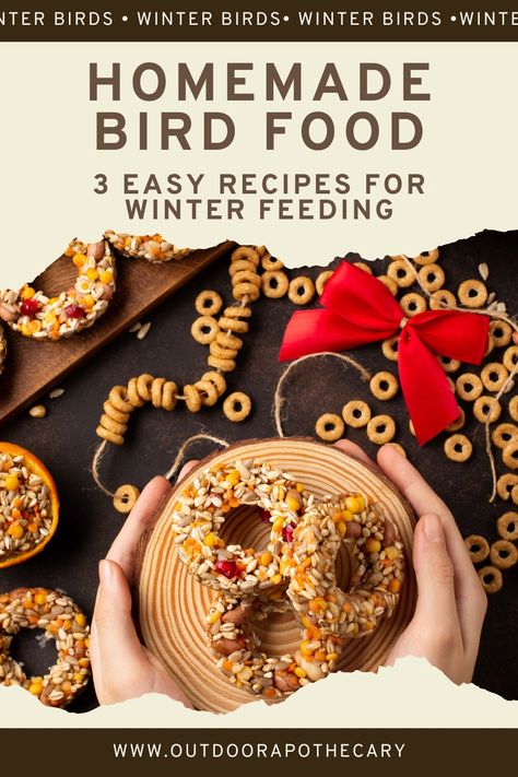 3 Homemade Bird Food recipes to keep your feathered friends happy, healthy, and active during the coldest time of year. Homemade Squirrel Food Recipes, Homemade Bird Suet Cakes, Bird Theme Food, Bird Food Diy, Bird Treats Homemade, Bird Suet Recipes Homemade, Bird Suet Recipes, Bird Food Ornaments, Bird Food Recipes