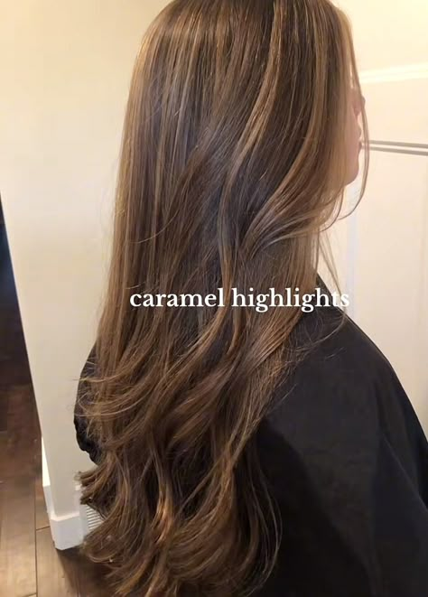 Highlight For Light Brown Hair, Highlights On Dark Brunette Hair, Honey Brown Hair On Black Hair, Black Hair Balyage, Long Brown Hair With Honey Highlights, Cappuccino Hair, Melir Hair Brown, Layered Brown Hair With Highlights, Subtle Honey Highlights On Brown Hair