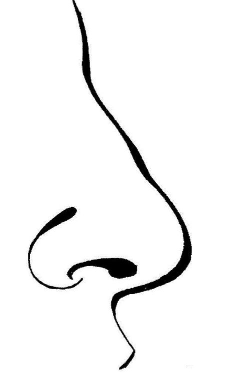 Nose clipart fans 4 Nose Coloring, Cartoon Noses, Human Body Organs, Black And White Google, Coloring Pages Winter, Cartoon Drawings Disney, Easy Cartoon Drawings, Nose Drawing, Truck Coloring Pages