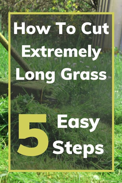 No Mow Grass, Best Hand Tools, Grass Pattern, Chain Link Fence, Wheat Grass, Step By Step Guide, Lawn Care, Plant Life, Lawn Mower