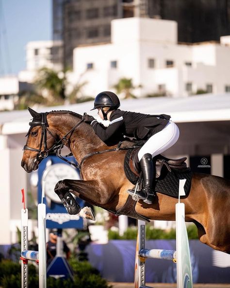 Voltaire Design USA/CAN (@voltairedesignusa_can) • Instagram photos and videos Olympic Show Jumping, Showjumping Photography, Hunter Jumper Aesthetic, Show Jumping Aesthetic, Horse Show Jumping, Jumping Pictures, Horses Cute, Equestrian Jumping, Hunter Jumper Horses