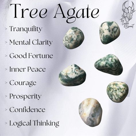 thecrystalelementau - Etsy Tree Agate Crystal Meaning, Tree Agate Meaning, Tree Agate Crystal, Gemini And Scorpio, Warrior Within, Tree Agate, We Are Strong, Logical Thinking, Agate Crystal