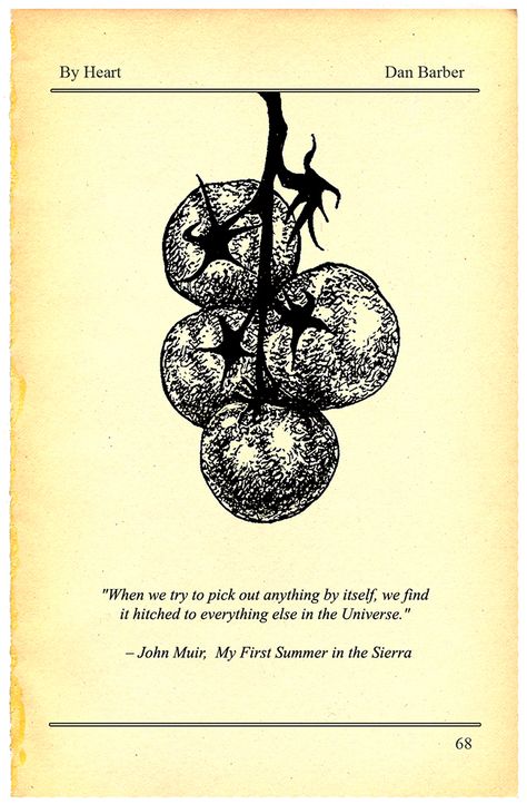 How John Muir Is Revolutionizing the Farm-to-Table Food Movement Yes, that John Muir. His observations on nature's interconnected systems deeply influenced award-winning chef Dan Barber's new book, The Third Plate. Dan Barber, Food Issues, Food Resources, Farm To Table, Sustainable Food, John Muir, Slow Food, Urban Farming, Eat Local