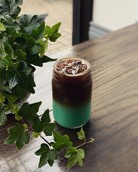 First Sip Cafe on Instagram: “Obsessed with these little vines 🌿😻 ⠀⠀⠀⠀⠀⠀⠀⠀⠀ ft. Pistachio Mint Latte — caffe latte made with oat milk & sweetened with pistachio-mint…” Coconut Latte, Keto Coffee Recipe, Mocha Coffee, Bulletproof Coffee, Delicious Drinks, Coffee Milk, Oat Milk, Coffee Recipes, Shoot Ideas