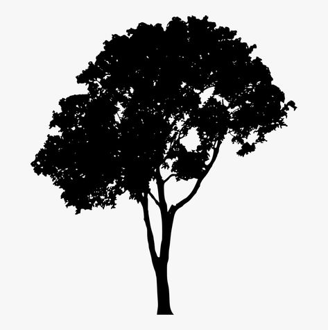 Tree Outline Tattoo, Tree Plan Png, Tree Vector Png, Oak Tree Silhouette, Landscape Architecture Presentation, Silhouette Architecture, Flower Border Png, Digital Art Supplies, Tree Outline