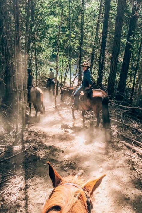 We built our very own backcountry camping ranch in the mountains near Pemberton, BC. Guests stay for 2 nights and 3 days exploring the coast mountains on horseback, winding from the lush valley bottom to a historic sub-alpine goldmine via singletrack horse and hiking trails and river-crossings. Photo courtesy of www.instagram.com/nicolajhors and www.instagram.com/britterific Pemberton Bc, Pnw Vibes, Horseback Riding Vacations, Backcountry Camping, On Horseback, Central Oregon, 2024 Vision, Camping And Hiking, In The Mountains