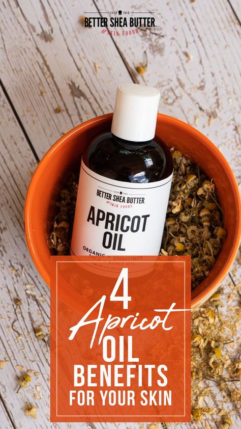 Apricot Seeds Benefits, Apricot Kernel Oil Benefits, Apricot Oil Benefits, Oil Benefits For Skin, Diy Vitamin C Serum, Seeds Benefits, Essential Oil Combinations, Apricot Seeds, Essential Oils Health