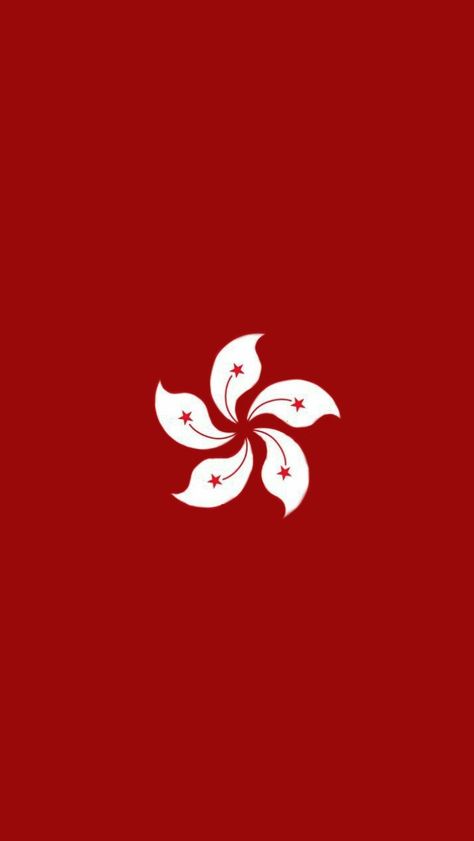 Hong Kong Cafe, Korea Logo, Hong Kong Flag, Fireworks Wallpaper, Paint Inspo, Flag Wallpaper, China Hong Kong, Flag Art, Travel Logo