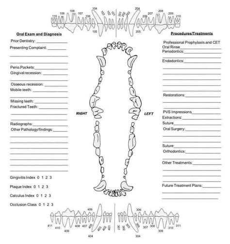 Cat dog dental chart Veterinary Dental Chart, Feline Dental Chart, Vet Anatomy, Assessment Checklist, Dog Dental, Vet Tech, Calculus, Surgery, Anatomy