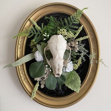 Animal Skull Decor, Raccoon Skull, Oddities Decor, Taxidermy Decor, Skull Crafts, Taxidermy Art, Bone Crafts, Vulture Culture, Dark Home Decor