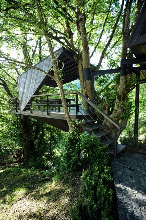 shaygan gostar designs treehouse in iran to evoke natural branch lines Modern Tree House, Mad Architects, Natural Branches, Dome Home, Best Tiny House, Dark Wood Stain, Small Toilet, Timber Cladding, Dream Cottage