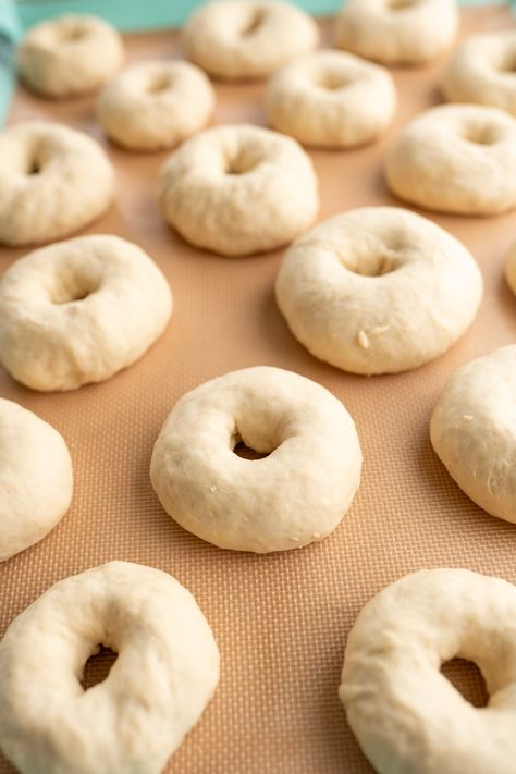 Mini bagels prior to being topped with seasonings and being baked. Homemade Mini Bagels, Mini Bagel Recipes, Baking Bagels, Asiago Bagel Recipe, Homemade Bagel Bites, Mini Bagels Recipe, Mini Bagel Bites, Types Of Bagels, Cinnamon Bagels