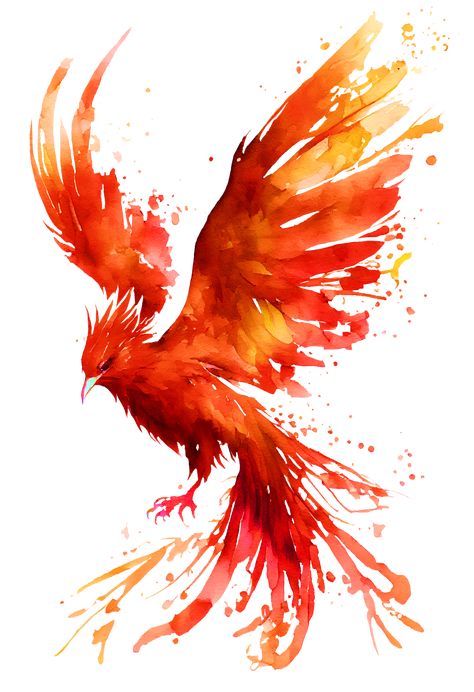 Phoenix Inspiration, Flying Bird Art, Phoenix Watercolor, Phoenix Flying, Phoenix Illustration, Phoenix Painting, Fantasy Queen, Flying Tattoo, Phoenix Design