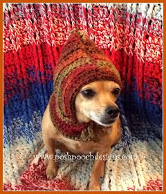 Crochet Dog Beanie Pattern, Dog Beanie Pattern, Crochet Dog Hat Free Pattern, Dog Scarf Crochet, Cape Crochet Pattern, Dogs Crochet, Yarn Stitches, Cape Crochet, Crochet Dog Hat