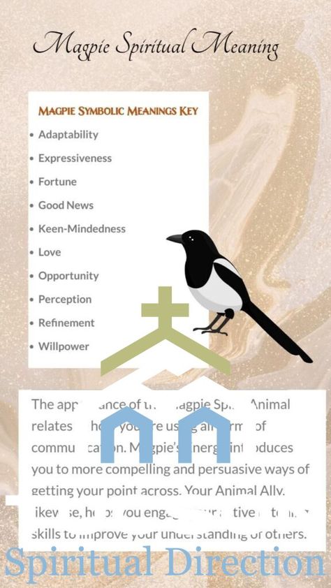 Unlocking the Spiritual Meaning of Magpie: A Reflection on Symbolism and Wisdom Magpie Spiritual Meaning, Magpie Meaning, Magpie Symbolism, Magpie Song, Magpie Tattoo, Western Philosophy, Vastu Tips, Chinese Words, Spiritual Messages