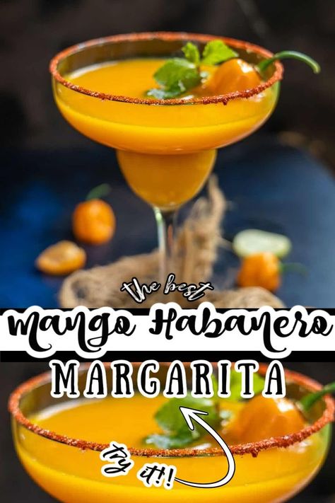 Habanero Margarita, Mango Margarita Recipe, Craft Beer Recipes, Classic Margarita Recipe, Frozen Drink Recipes, Champagne Recipes Cocktails, Mango Drinks, Frozen Cocktail Recipes, Mango Dessert