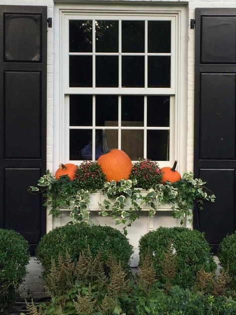 Fall Flower Boxes, Fall Container Plants, Winter Window Boxes, Fall Window Boxes, Fall Windows, Fall Container Gardens, Box Flowers, Fall Containers, Window Box Flowers