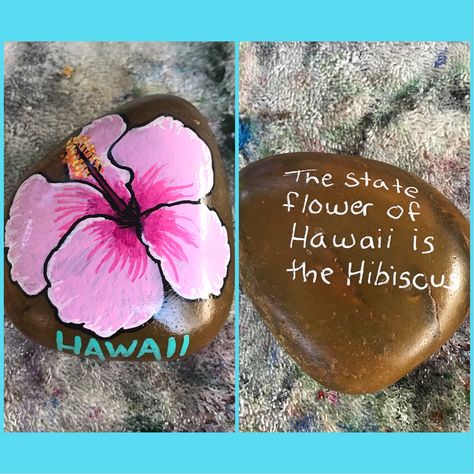 State flower painted rock. Hawaii. Hibiscus Hawaii Painting Ideas Easy, Paint Hibiscus Flower Easy, Hawaii Rock Painting Ideas, Painted Hibiscus Flower, Hawaii Flowers Painting, Hawaii Painted Rocks, Hawaiian Painting, Diy Rock Art, Stone Art Painting