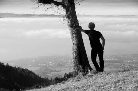 Looking Into The Distance, Inspirational Stories, Don't Like Me, Man Images, Original Music, Free Stock Photos Image, Inspire Others, Inspirational Story, A Tree