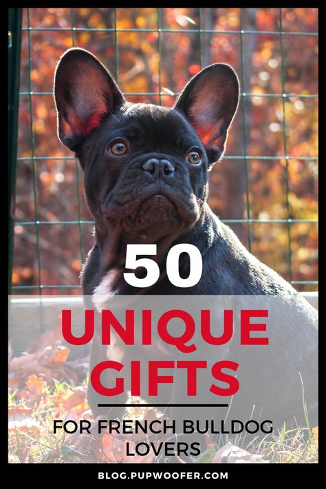 Frenchie Accessories, Frenchie Clothes, Frenchie Decor, French Bulldog Decor, Bulldog Decor, Luna Girl, French Bulldog Gifts, Frenchie Mom, Puppy Accessories