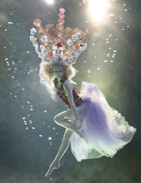 UNDERWATER PHOTOGRAPHER ZENA HOLLOWAY | Lemontrend Capas Minecraft, The Shape Of Water, Under The Water, Water Nymphs, Underwater Art, Queen Photos, Underwater Photos, Water Photography, Water Art