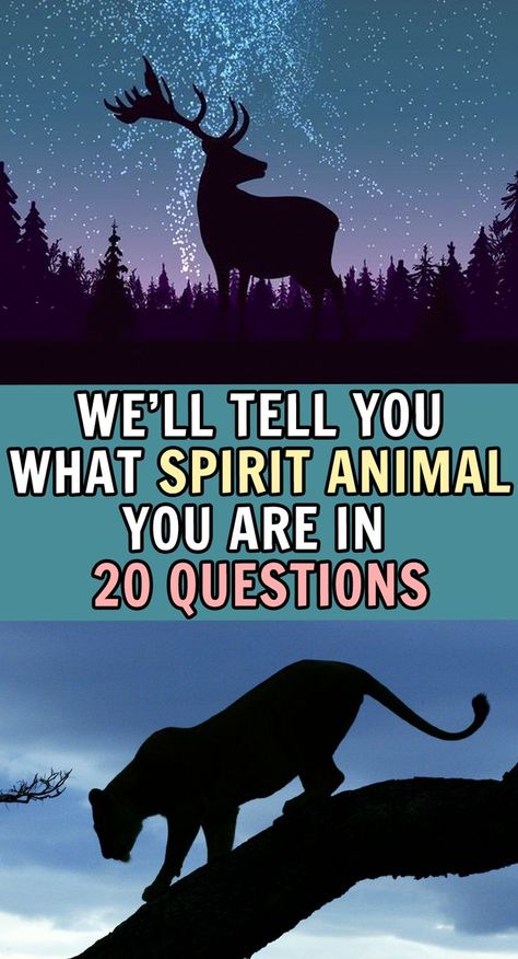 What's My Spirit Animal, Animal Totem Spirit Guides, Spirit Animal Quiz, Celtic Zodiac, Animal Quiz, Teen Witch, Animal Spirit Guides, Fun Quizzes To Take, Fairy Art Dolls