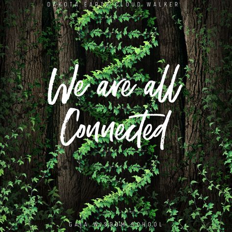 Connected To The Universe, Connect With Earth, Connect Quotes, We Are Connected Quotes, Everyone Is Connected, We Will Always Be Connected, How To Feel Connected To Earth, Connection Quotes, Earth Mama