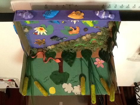 Freshwater ecosystem Biome Project Ideas, Ecosystems Diorama, Biome Project, Biomes Project, Ecosystems Projects, Habitats Projects, Homeschool Projects, Science Projects For Kids, Biome