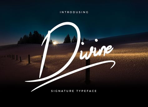 Divine Signature Brush Font Divine Logo, Professional English, Visual Hierarchy, Illustration Typography, Fitness Logo Design, Birthday Flyer, English Course, Promotional Design, Brush Font