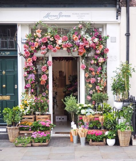 11 prettiest floral displays in London – Flying Scots Girl The Ivy Chelsea, Dominique Ansel Bakery, Hyde Park Corner, Chelsea Garden, The Turning, London Places, Floral Shop, Modern Minimalism, Bond Street