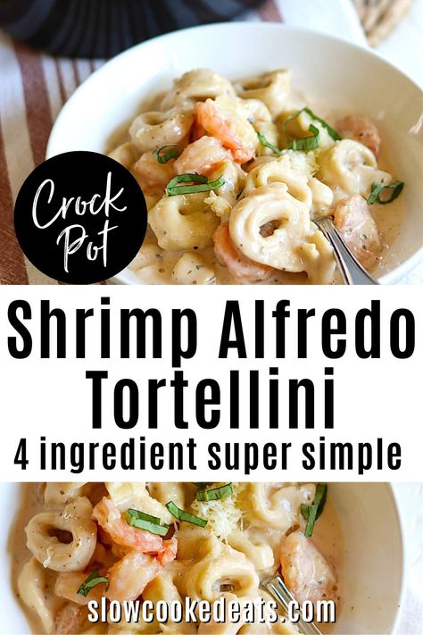 A white bowl served with crockpot shrimp alfredo with cheese tortellini garnished with fresh basil. Crock Pot Recipes Shrimp, Slow Cooker Shrimp Pasta, Crockpot Shrimp Alfredo Slow Cooker, Crockpot Shrimp Pasta, Crockpot Shrimp Alfredo, Slow Cooker Shrimp Recipes, Shrimp Crockpot Recipes, Crockpot Shrimp Recipes, Slow Cooker Recipes Shrimp