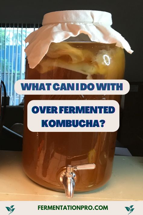 Kombucha Copycat Recipe, Kombucha Vinegar Uses, What Is Kombucha, Kombucha Second Fermentation, Kombucha Recipe Flavored, Kombucha Flavours, Kombucha Vinegar, Kombucha Flavors Recipes, Brewing Kombucha