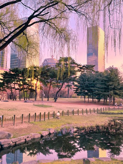 Spring In Seoul, Yeouido Park, Peach Blossoms, South Korea, Seoul, Blossom, Travel